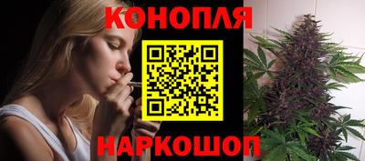сатива Северобайкальск