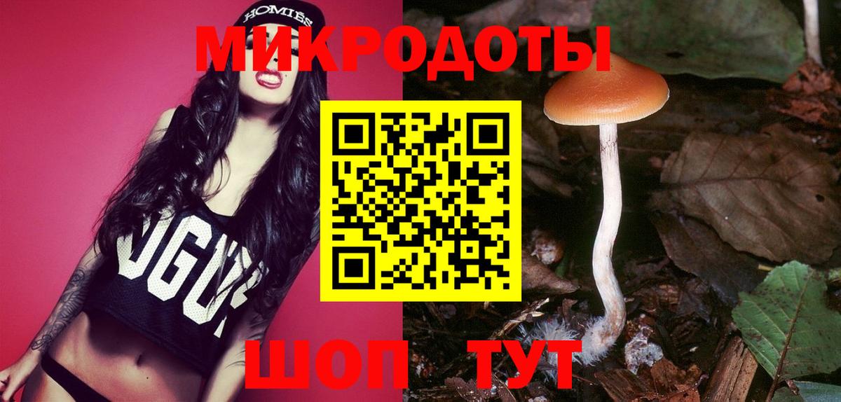 Псилоцибиновые грибы MAGIC MUSHROOMS  Вход с VPN  Балашиха  Галлюциногенные грибы прущие грибы 